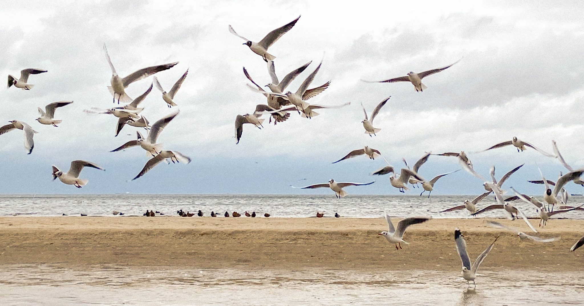 202002-debby-ocean-deutschland-usedom-slider-1200x630